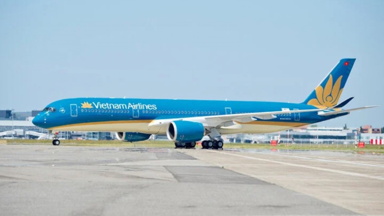 Yagi impact: Hundreds of flights cancelled for safety reasons