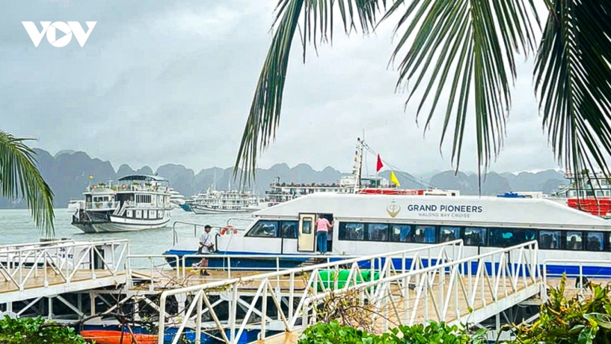 International tourists return to Ha Long Bay after Yagi dissipates