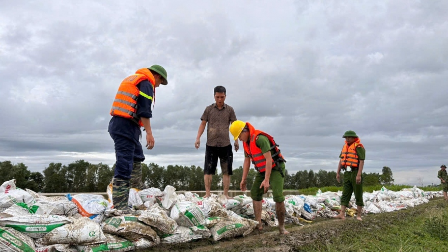 Cần phân biệt đê sông, đê bối, đê bao để tránh hiểu lầm 'vỡ đê'