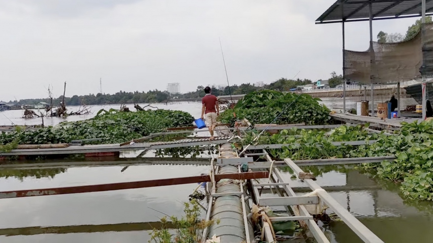 Người dân Đồng Nai ảnh hưởng bởi triều dâng, làng cá bè chủ động chống lũ