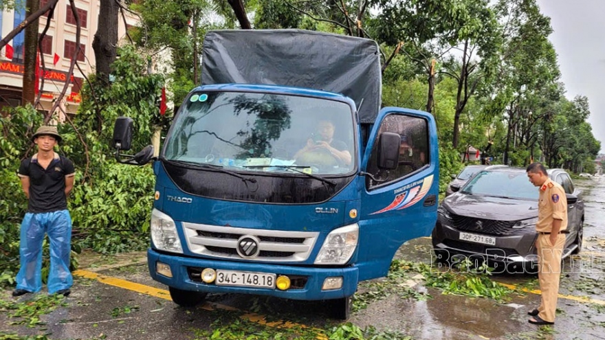 Bắc Ninh phát hiện đối tượng khai thác trái phép cây đổ do bão số 3