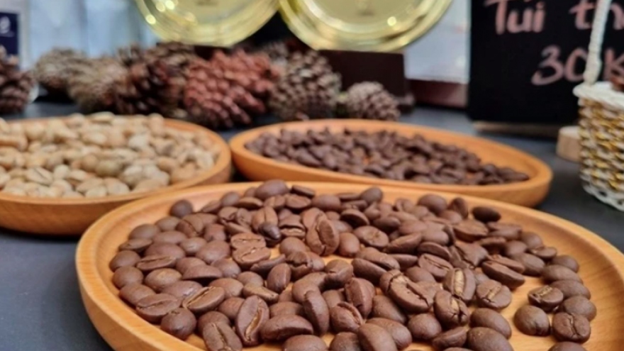 New freeze-dried instant coffee factory to be built in Binh Dinh province