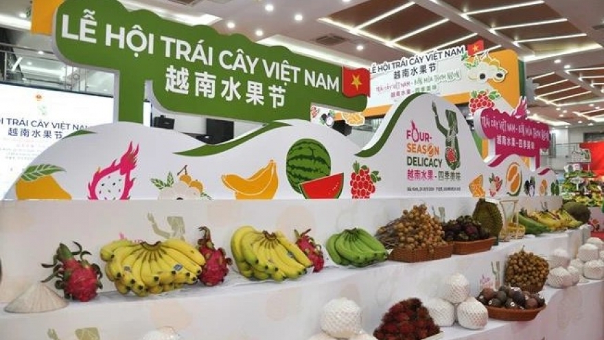 First Vietnam fruit festival opens in China