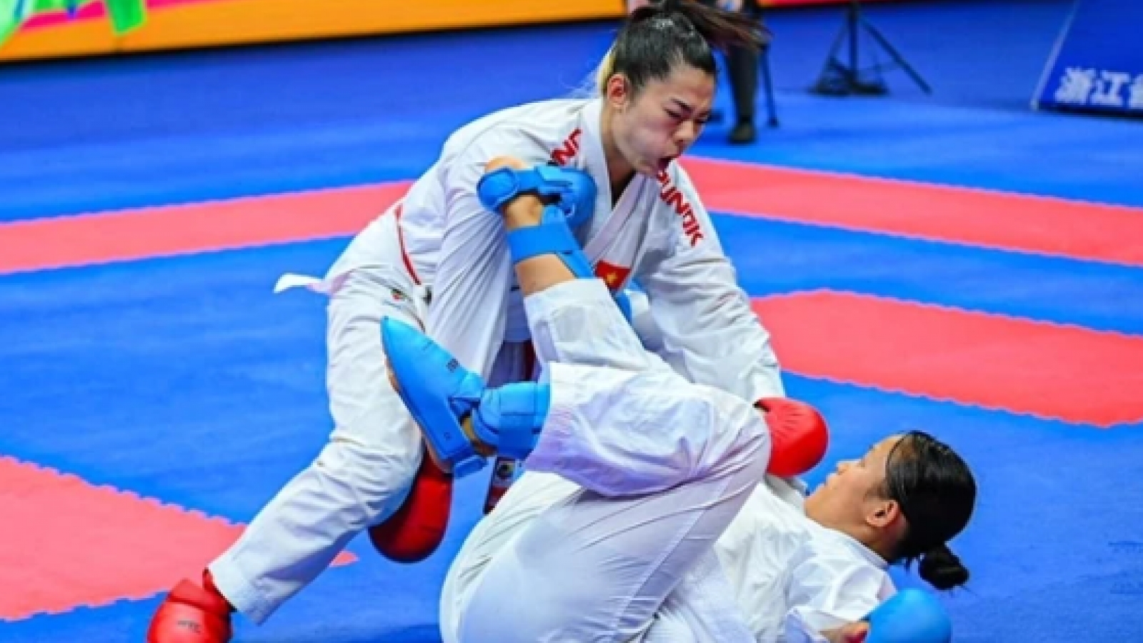 Vietnam win golds, placed second in Asian karate championships