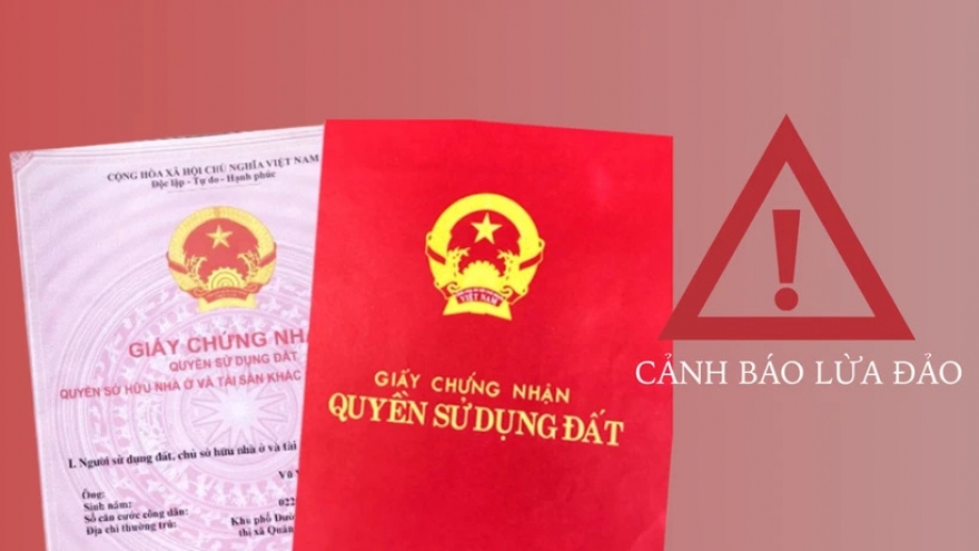 Phạt tù chung thân cựu cán bộ địa chính phường lừa đảo, chiếm đoạt 44 tỷ đồng