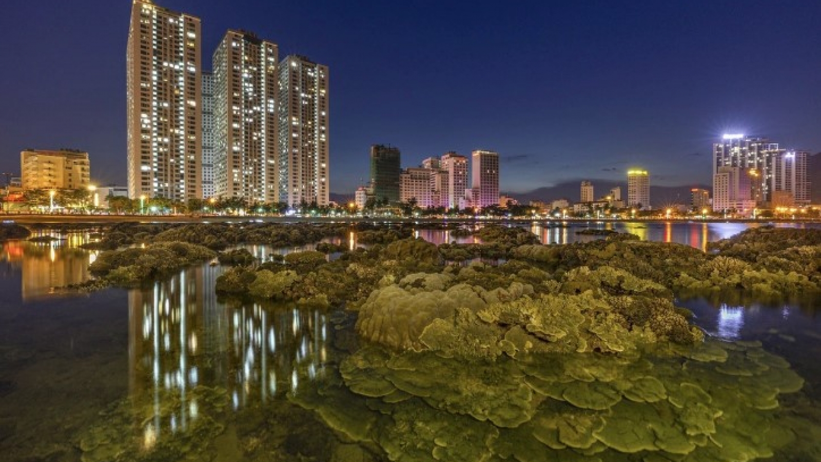 Vietnamese photographer wins ASEAN SX Photo Contest