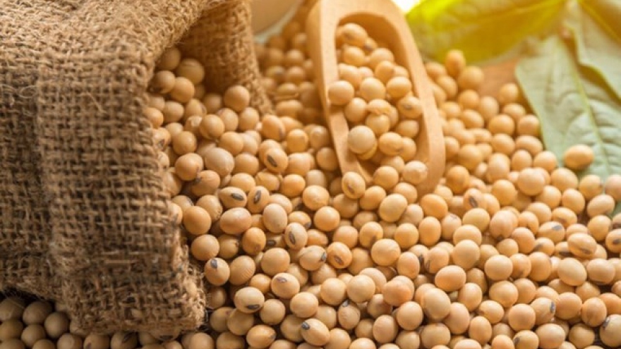 Three major soybean suppliers to Vietnam