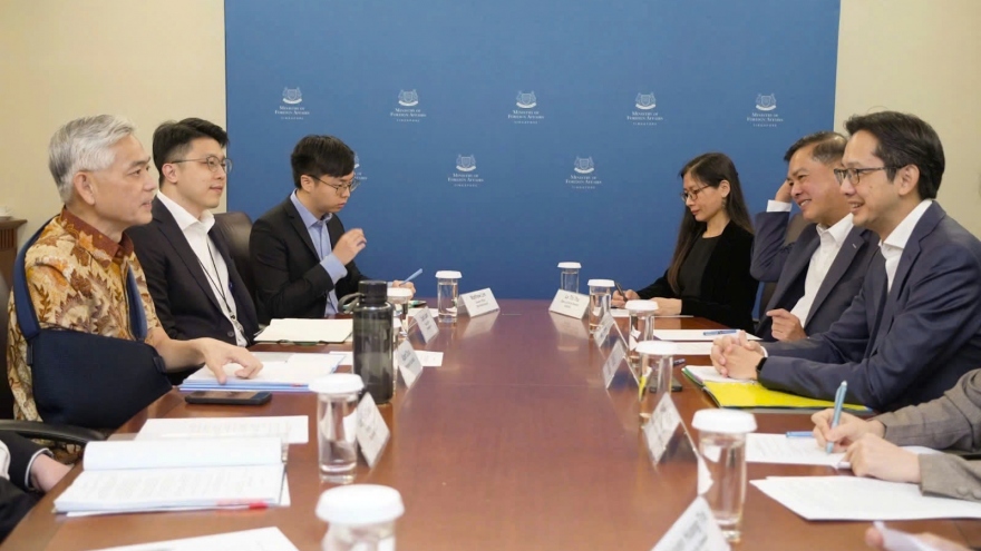 Vietnam, Singapore convene 16th political consultation