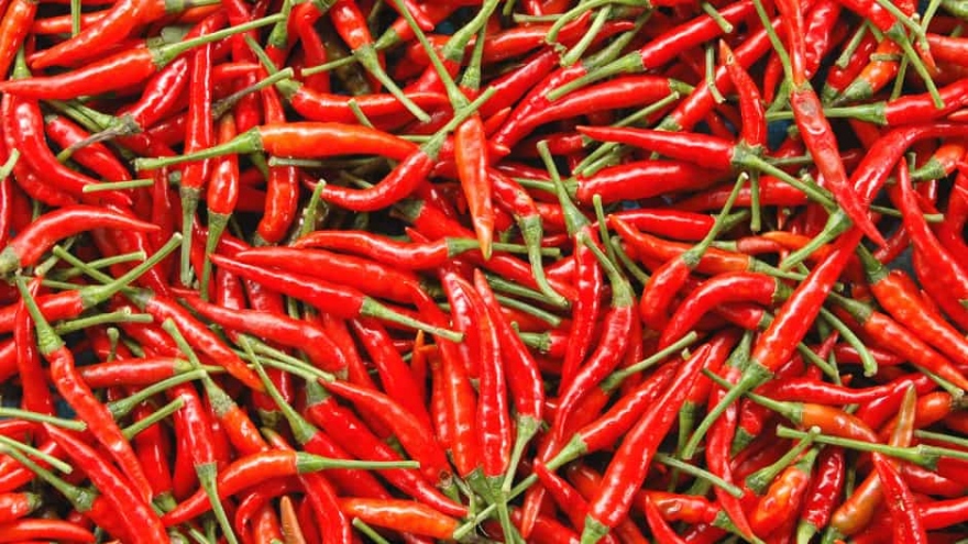 Eight-month chili exports to US market skyrocket