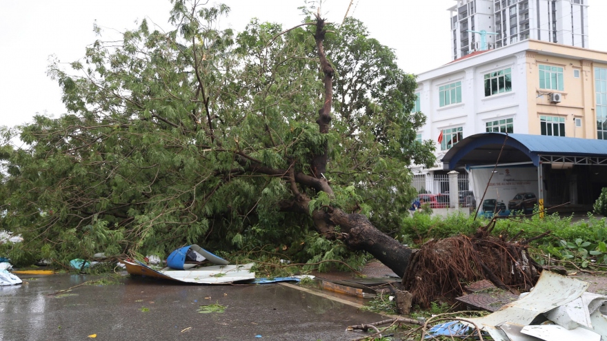 Hải Phòng, Quảng Ninh thực hiện biện pháp cấp bách khắc phục hậu quả bão số 3