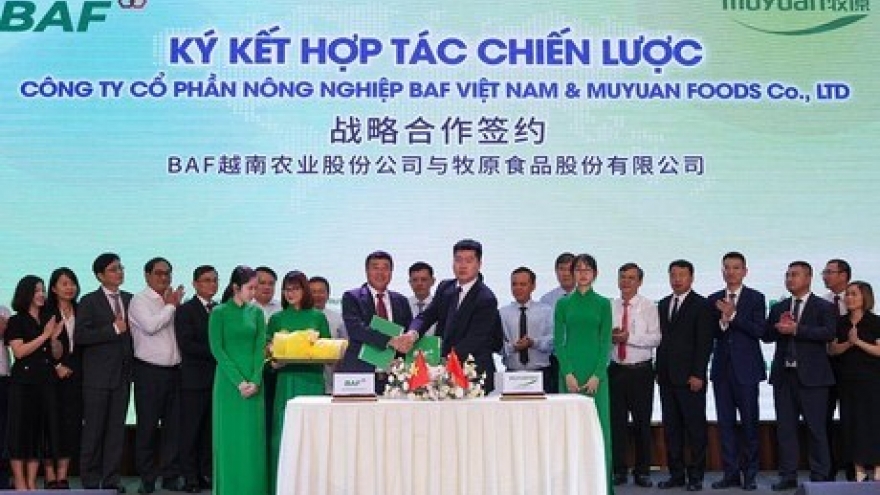 Vietnamese and Chinese firms co-operate in hi-tech livestock farming