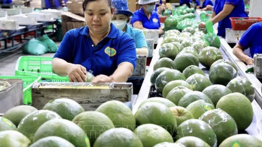 Standardising fruit quality can open up new markets for Vietnam: Insiders