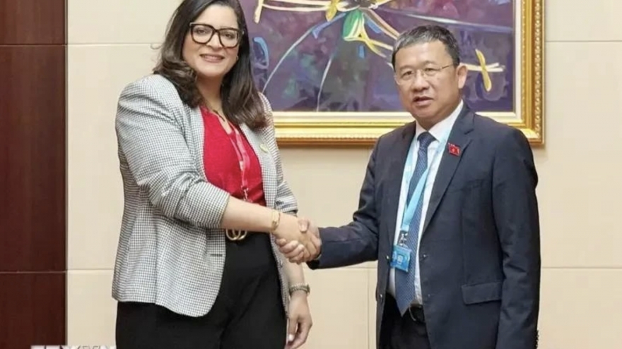 Vietnam ready to connect Morocco with ASEAN members: Official