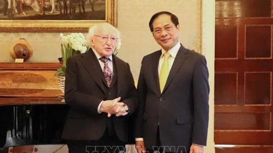 Top leader’s visit hoped to bring Vietnam-Ireland ties to new development stage