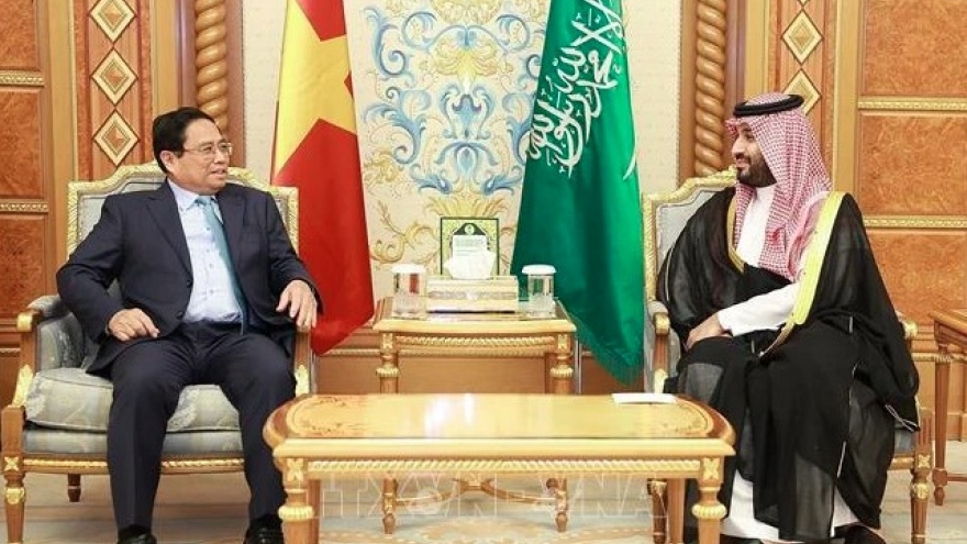 Vietnamese PM holds talks with Saudi Arabian counterpart