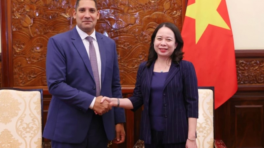 Vice President calls on Sweden to share development experience with Vietnam