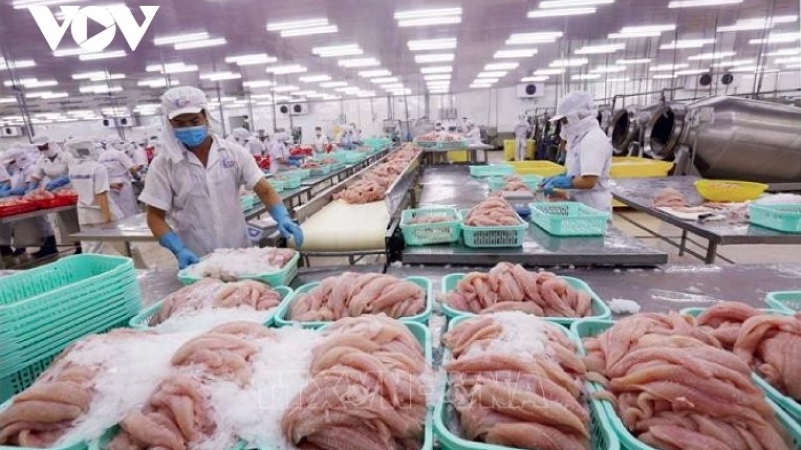Vietnam represents largest pangasius supplier to Colombia