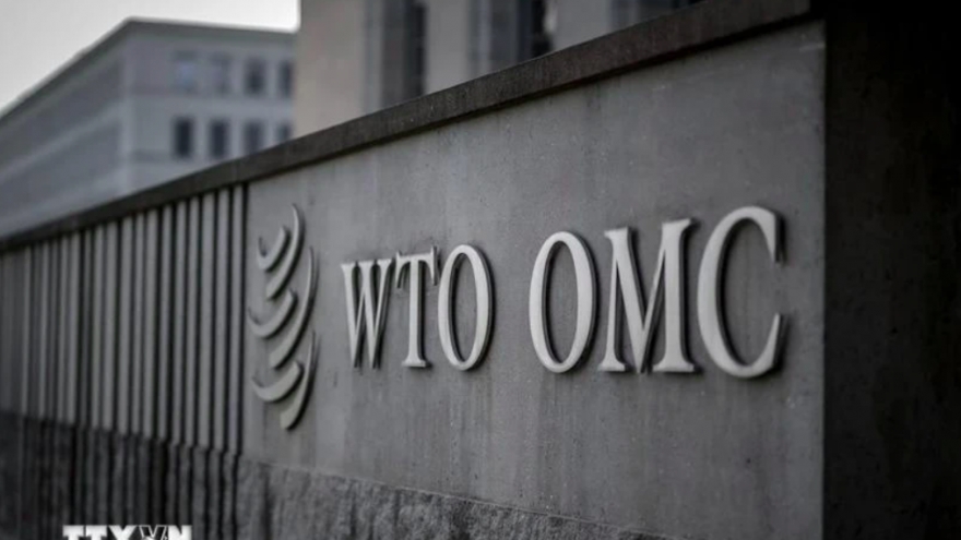 WTO highlights Vietnam’s role in restructuring of global supply chains