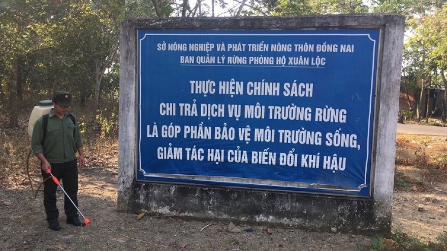 Người dân lấn chiếm, tự ý xây dựng trên đất rừng phòng hộ Xuân Lộc ở Đồng Nai