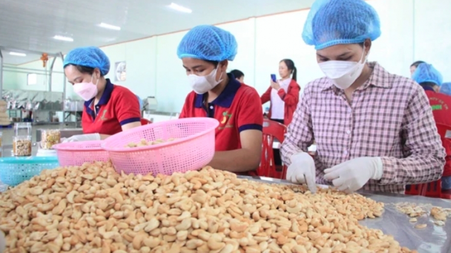 Cashew industry faces risk of trade deficit