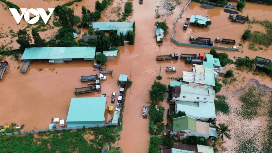 Hundreds of households in Dong Nai flooded with power cut off following storm