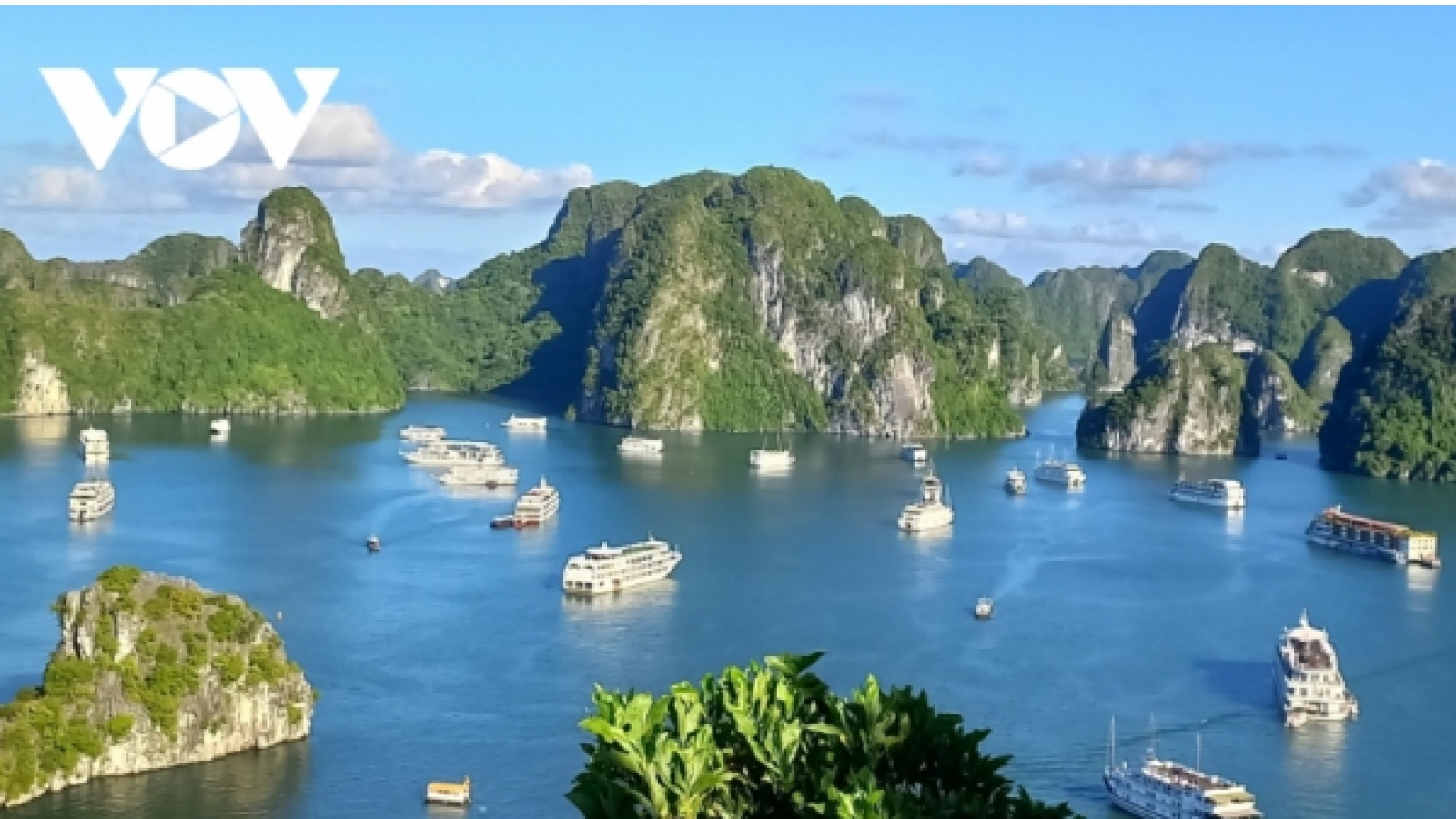 200 European billionaires to arrive Ha Long Bay