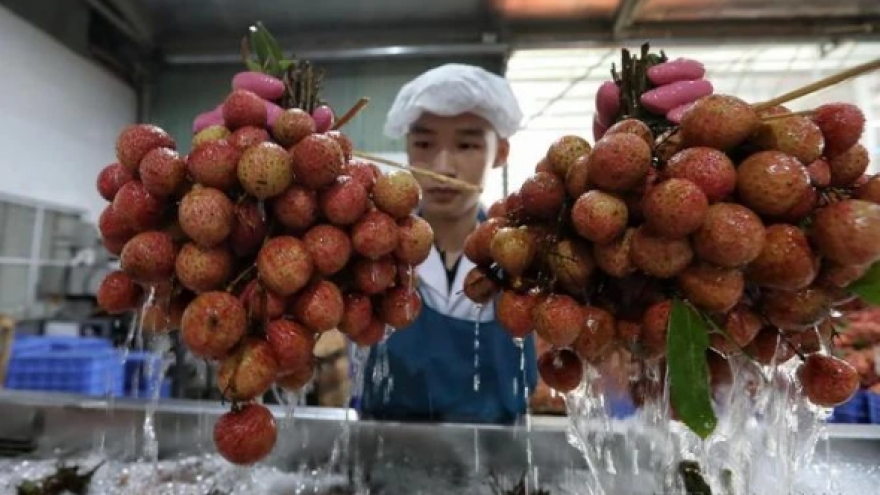 Vietnam turns to nuclear technology for development