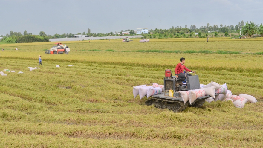 Ứng dụng thành tựu công nghệ sinh học xây dựng nền nông nghiệp bền vững