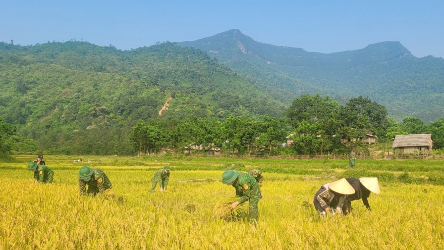 Gieo hạt ngọc, gặt ấm no trên đỉnh Giăng Màn