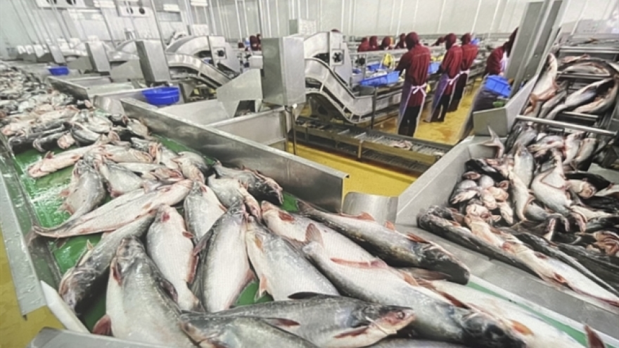 China spends US$21mn importing Vietnam's pangasius fish maws