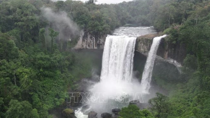 Network to connect ASEAN Heritage Parks in Vietnam