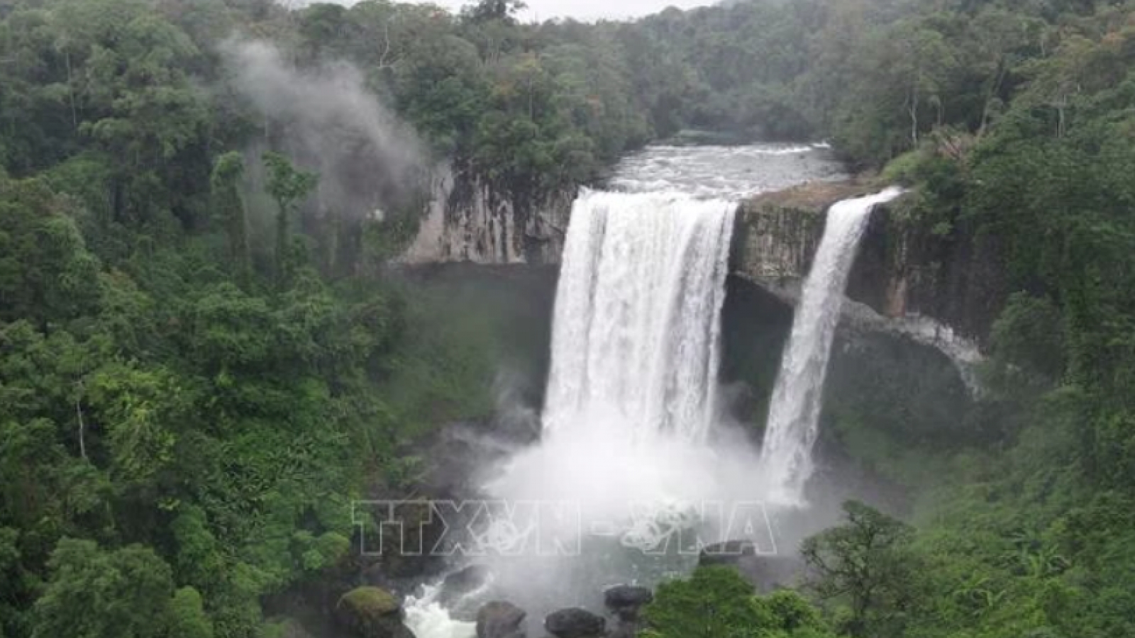 Network to connect ASEAN Heritage Parks in Vietnam