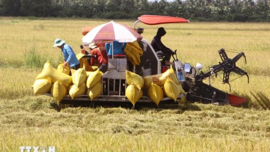 Soc Trang expands pilot of million hectare low-emission rice project