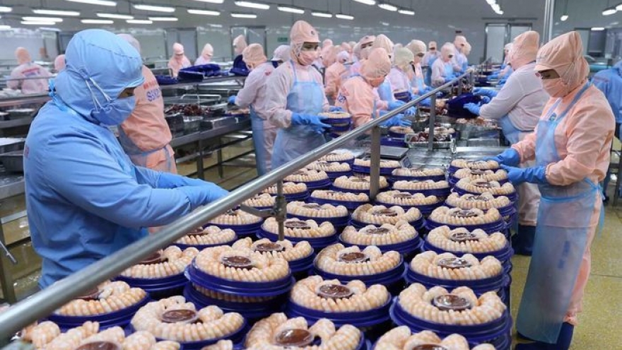 Vietnamese shrimp exports to China enjoy rebound