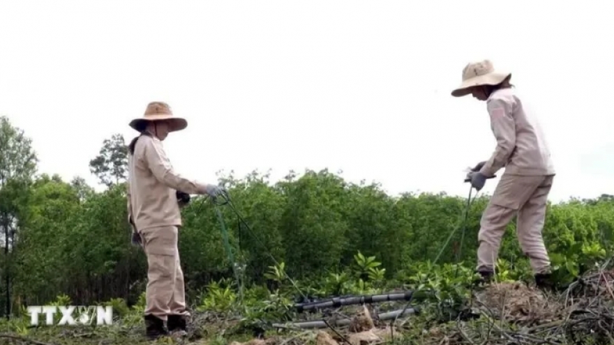 Int'l community values Vietnam’s efforts in addressing UXO clearing