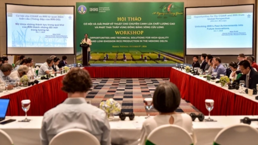 Mekong targets low-emission rice production with carbon credit initiative