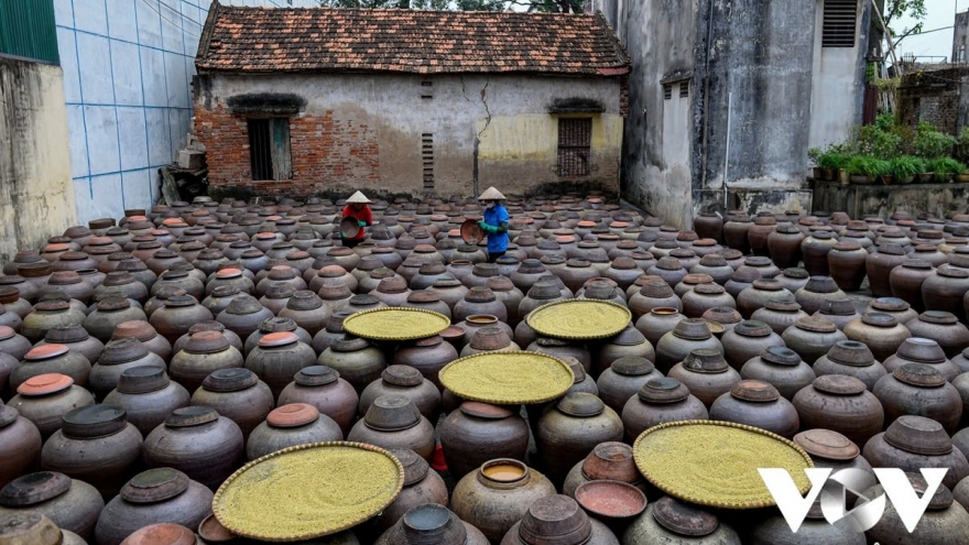 The making of fermented soybean paste in Hung Yen