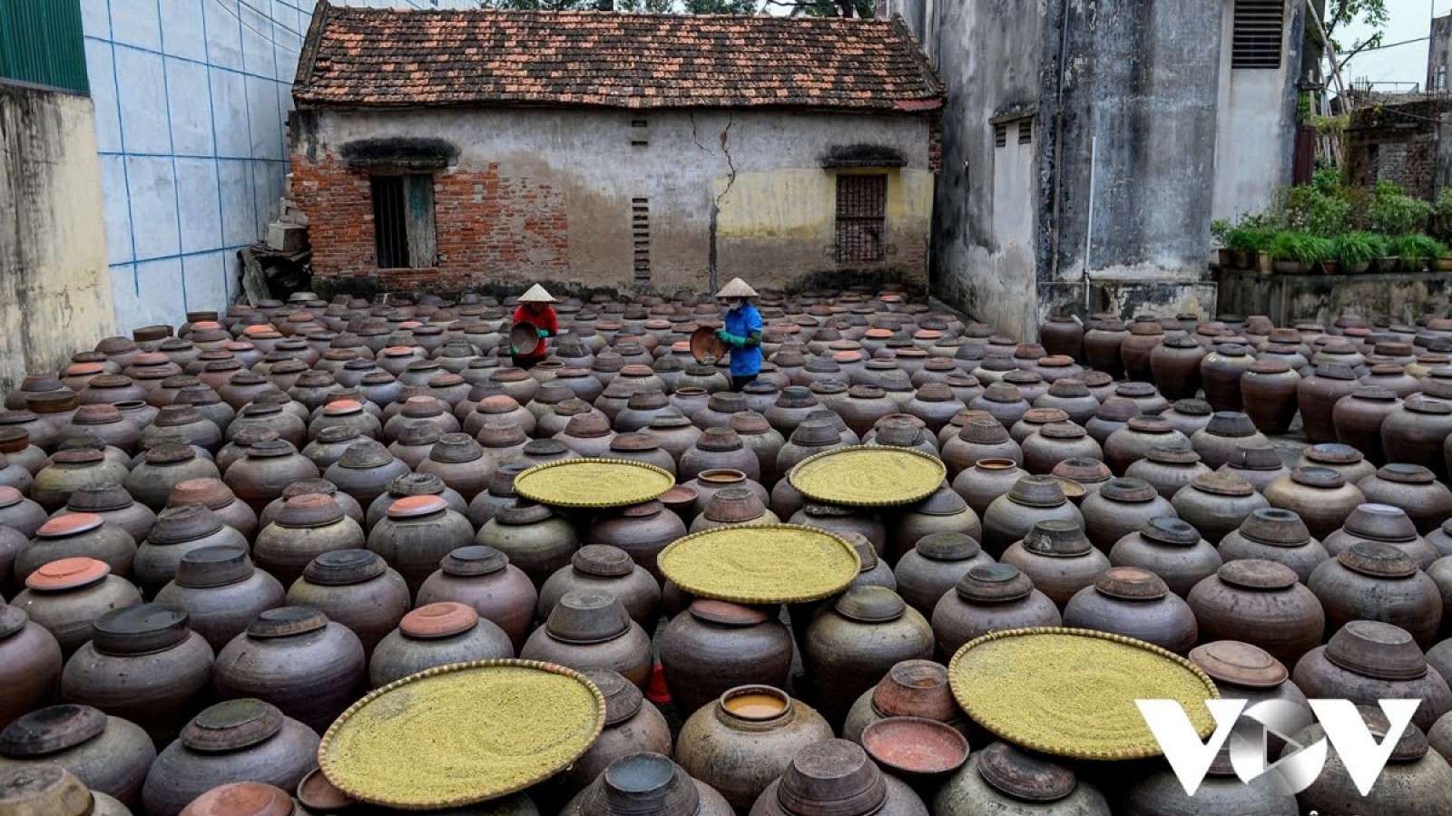 The making of fermented soybean paste in Hung Yen