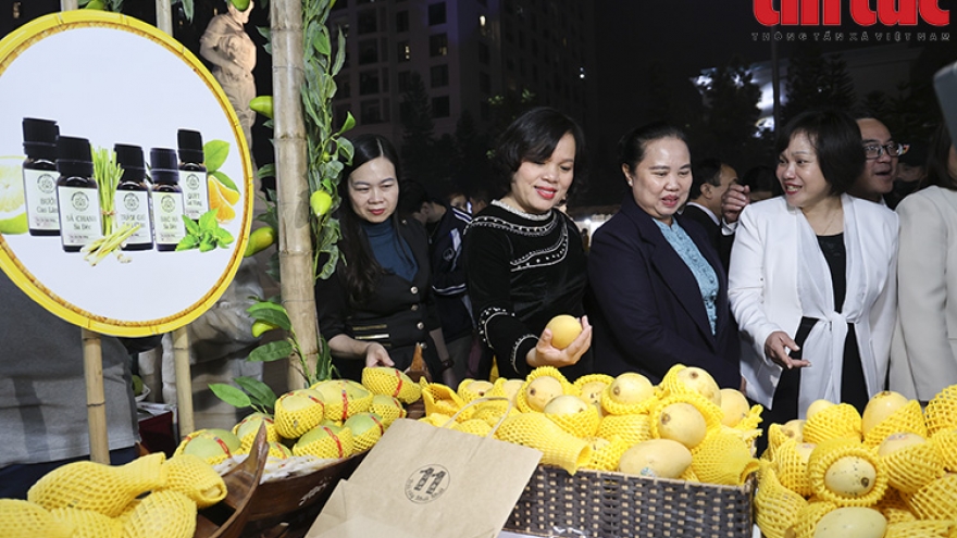 Hanoi to host Vietnam Regional Specialties Fair 2024