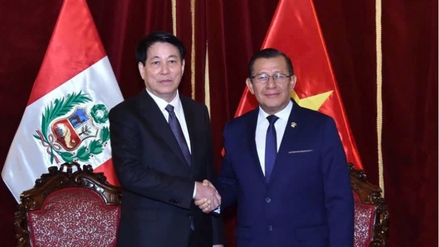 Peru among top important partners in Vietnam's overall foreign policy towards Latin America