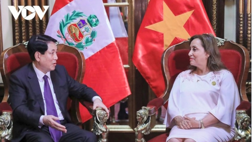 Peruvian President expects Vietnam to soon open diplomatic agency in Lima