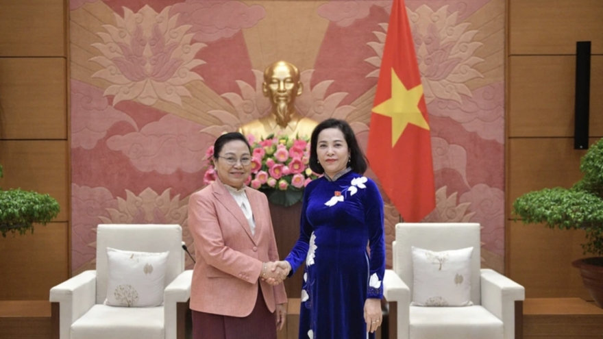 Vice NA Chairwoman receives Lao Ambassador