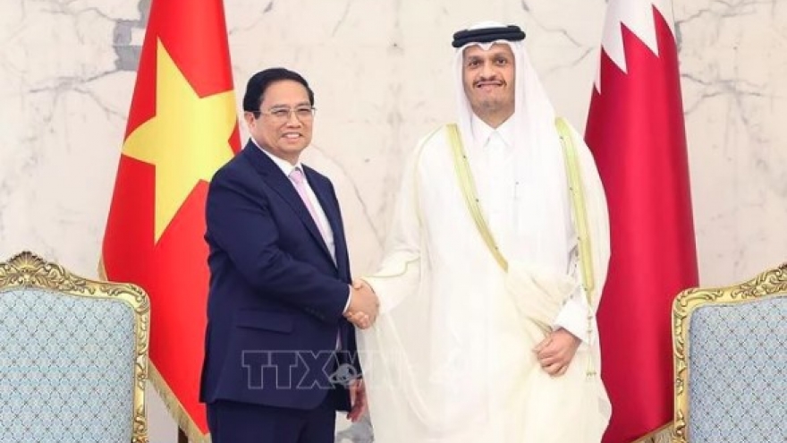 Vietnam, Qatar issue joint communiqué