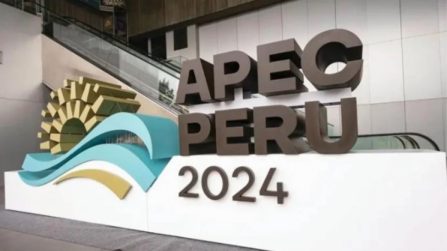 Vietnam affirms active, responsible role in APEC