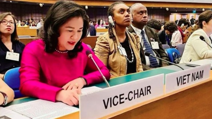 Vietnam to implement goals of Beijing Platform for Action in gender equality