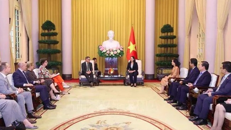 Vietnam values strategic partnership with Germany: Vice President