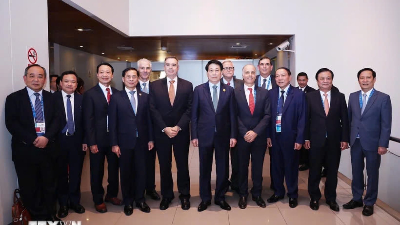 President Luong Cuong suggests cooperation opportunities for Peruvian businesses