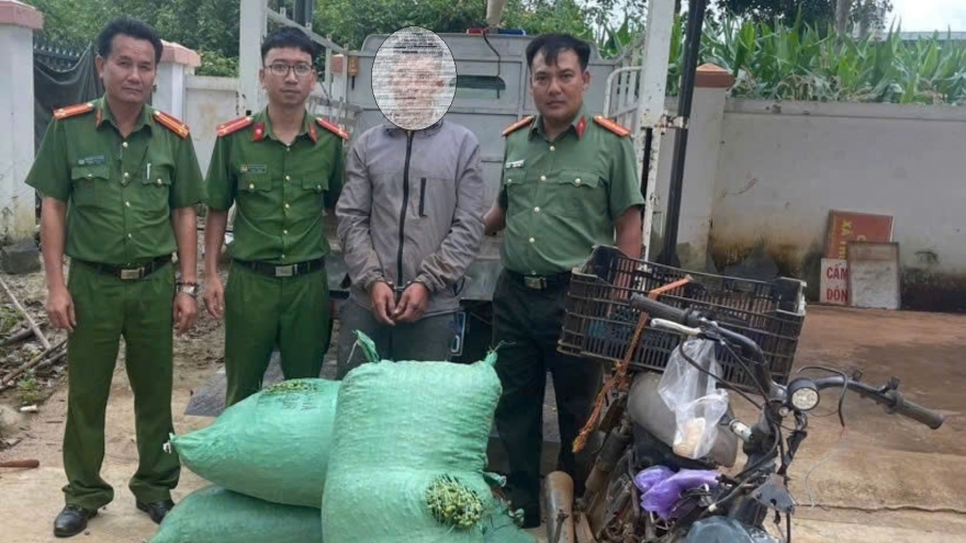 Nam thanh niên bị bắt khi đem bán cà phê vừa hái trộm