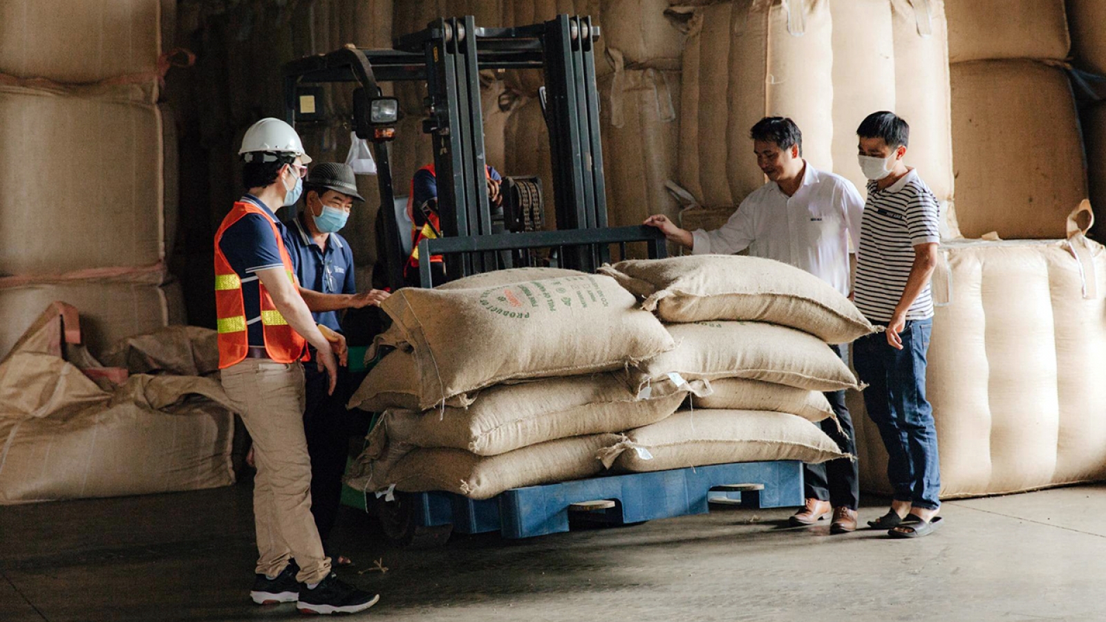 Giá cà phê hôm nay 8/7: Cà phê trong nước tăng mạnh, cao nhất 97.000 đồng/kg