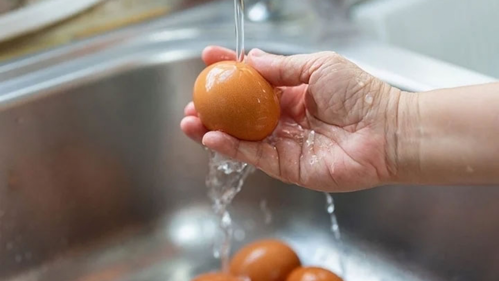 Có nên rửa sạch trứng trước khi bỏ vào tủ lạnh?